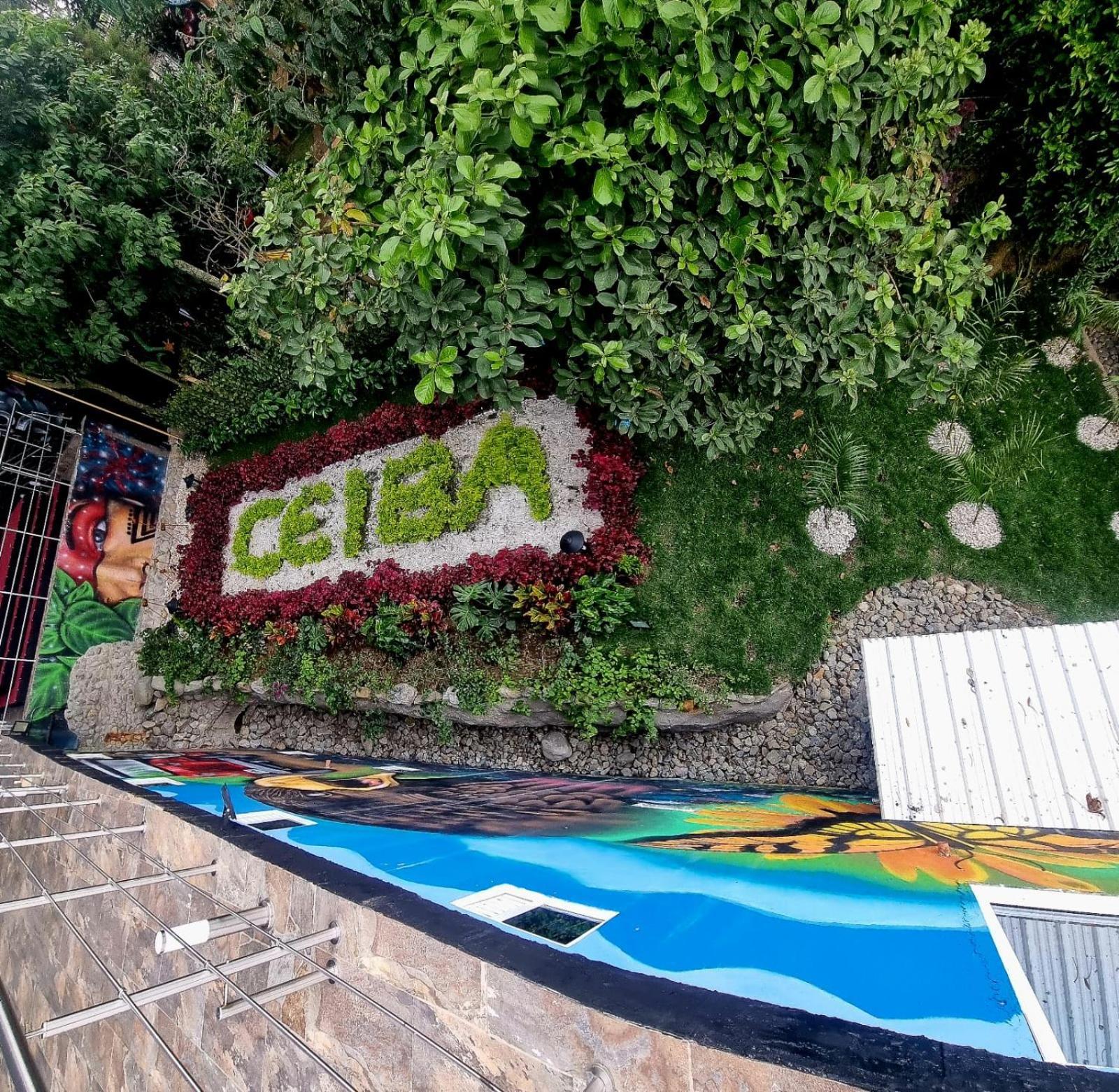 Ayenda Ceiba Rooms Pereira Eksteriør bilde